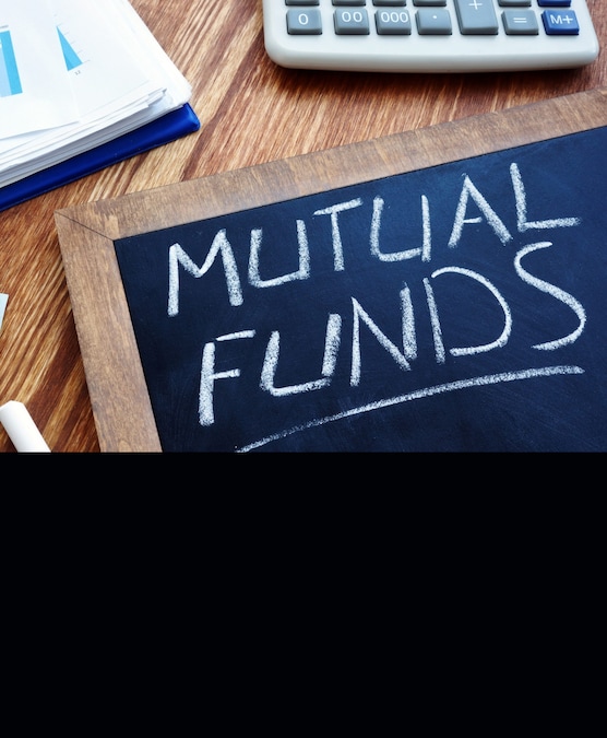 Zerodha Nifty LargeMidcap 250 Index Fund vs Edelweiss NIFTY Large Mid Cap 250 Index Fund: Risks, AUM, NAV and more
