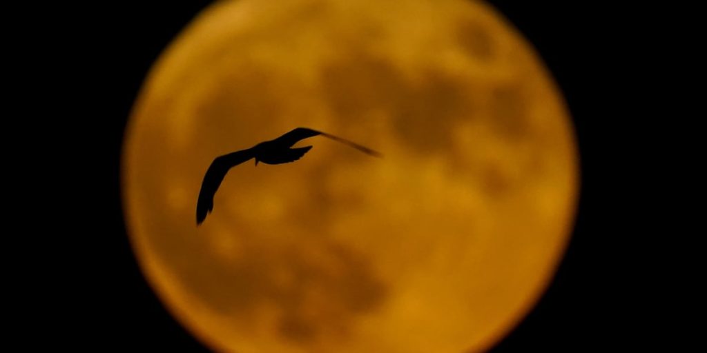 Buck Moon lights up the sky for a ‘full moon’ weekend