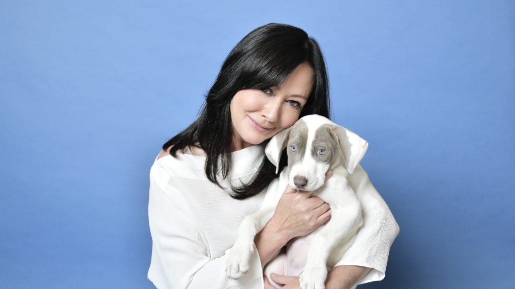 Actress Shannen Doherty dies at 53, after a nearly decade-long battle with breast cancer : NPR