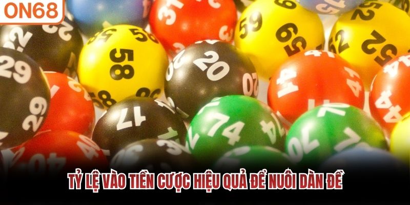 Tỷ lệ v&agrave;o tiền cược hiệu quả để nu&ocirc;i d&agrave;n đề
